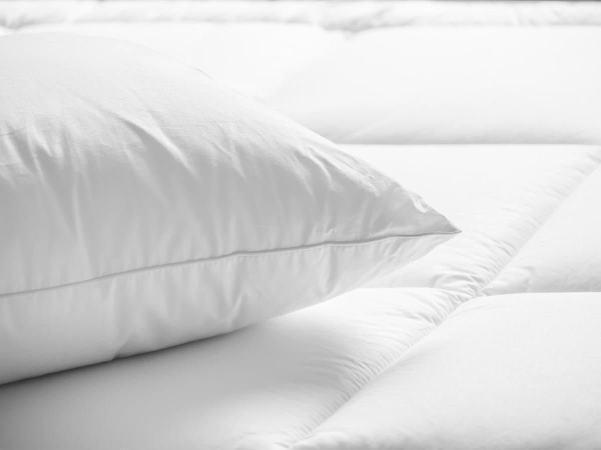 Residence Inn By Marriott Charleston Airport Βόρειο Τσάρλεστον Εξωτερικό φωτογραφία